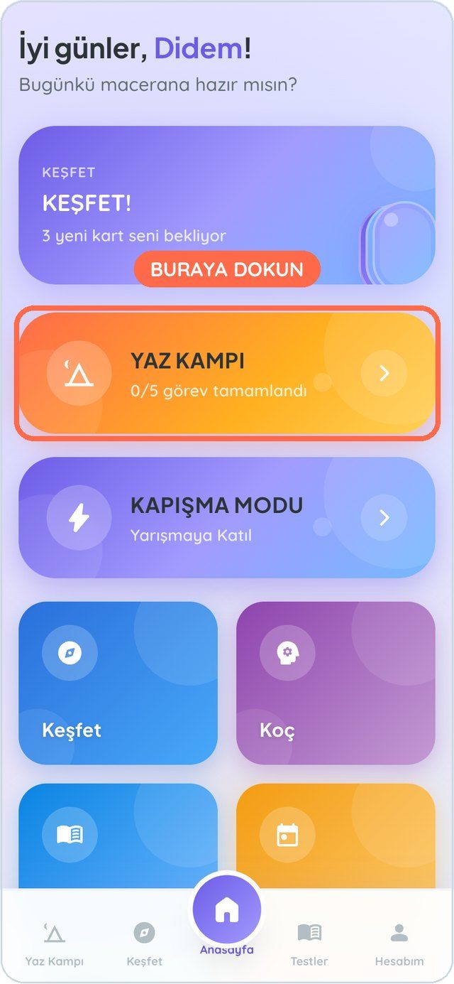 Anasayfa