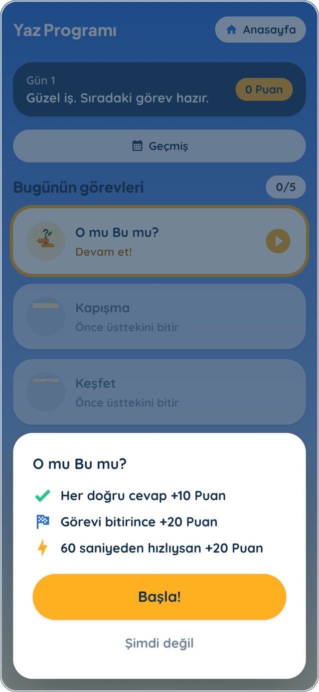 Puanlar